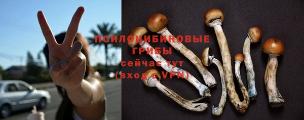 амфетамин Алексин