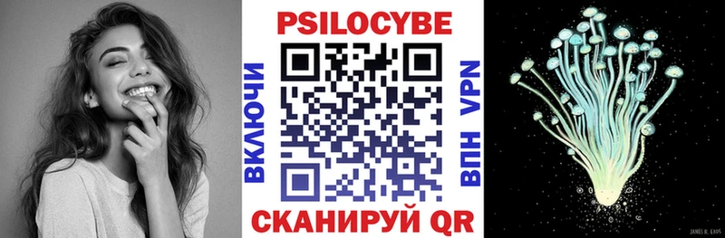 OMG маркетплейс Апатиты мориарти клад Псилоцибиновые грибы Cubensis